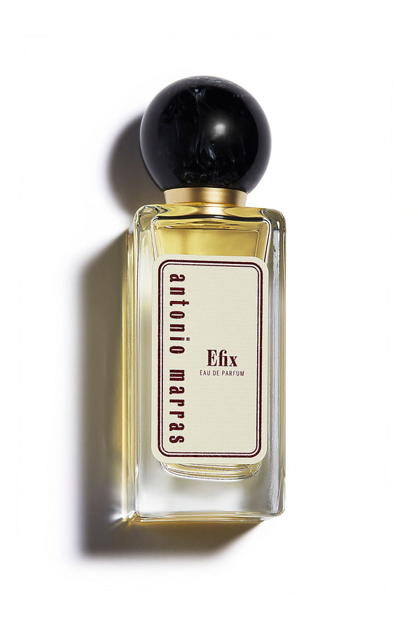 Efix