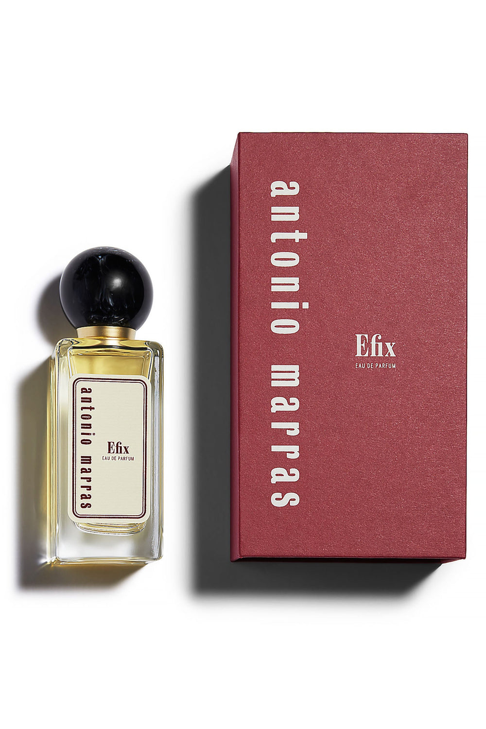 Efix
