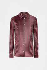 Burgundy Striped Regular Shirt