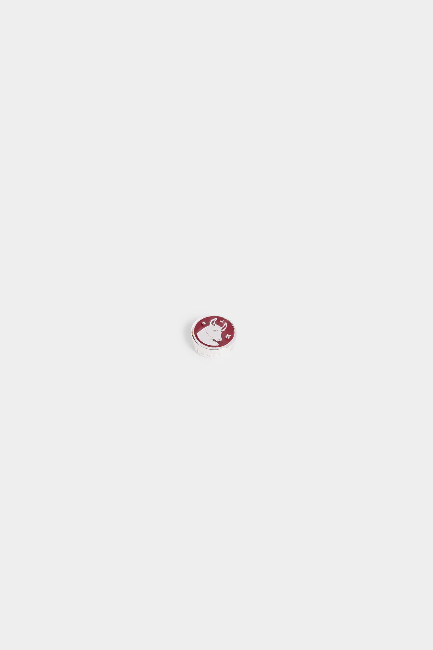 Zodiac Sign Charm