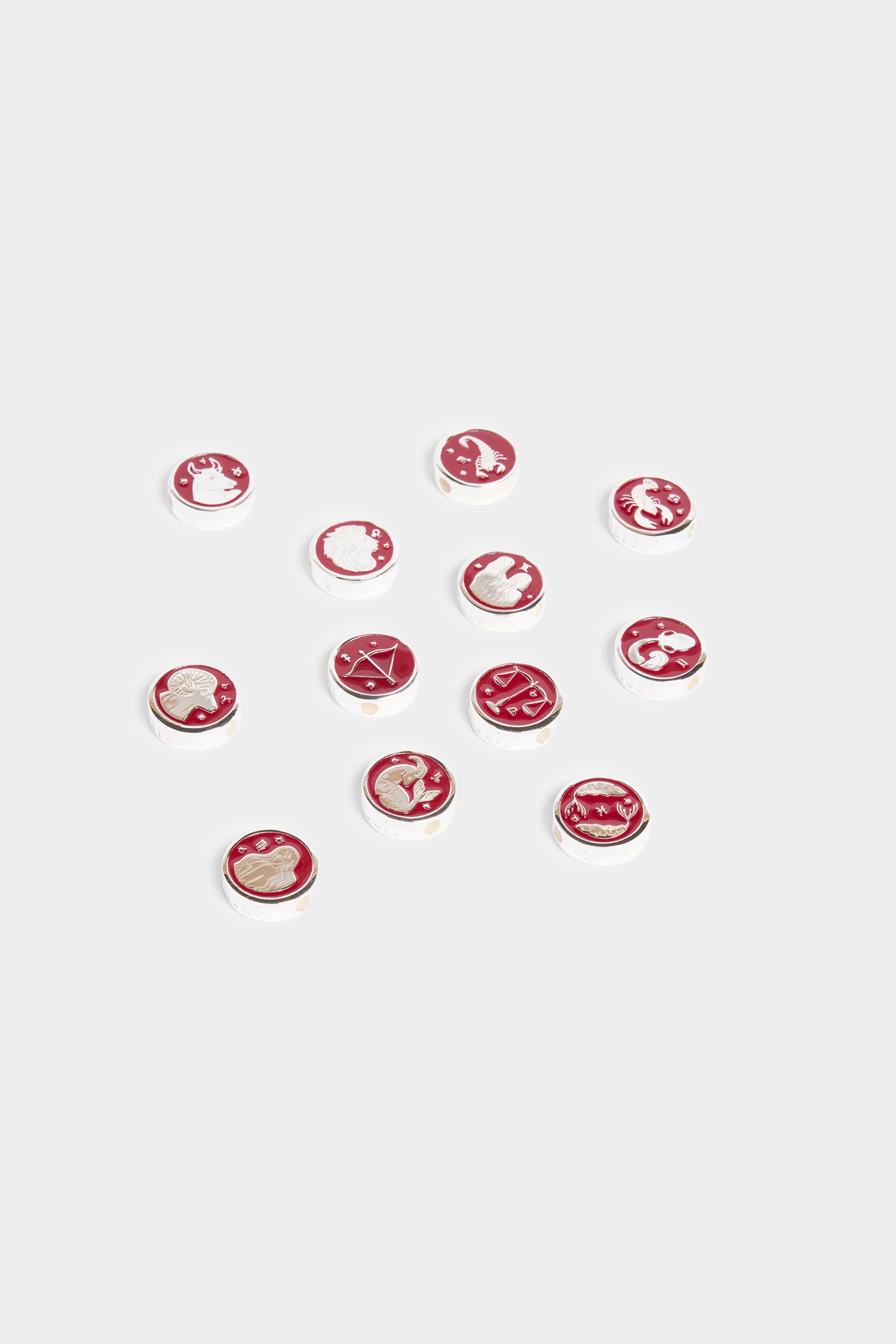 Zodiac Sign Charm