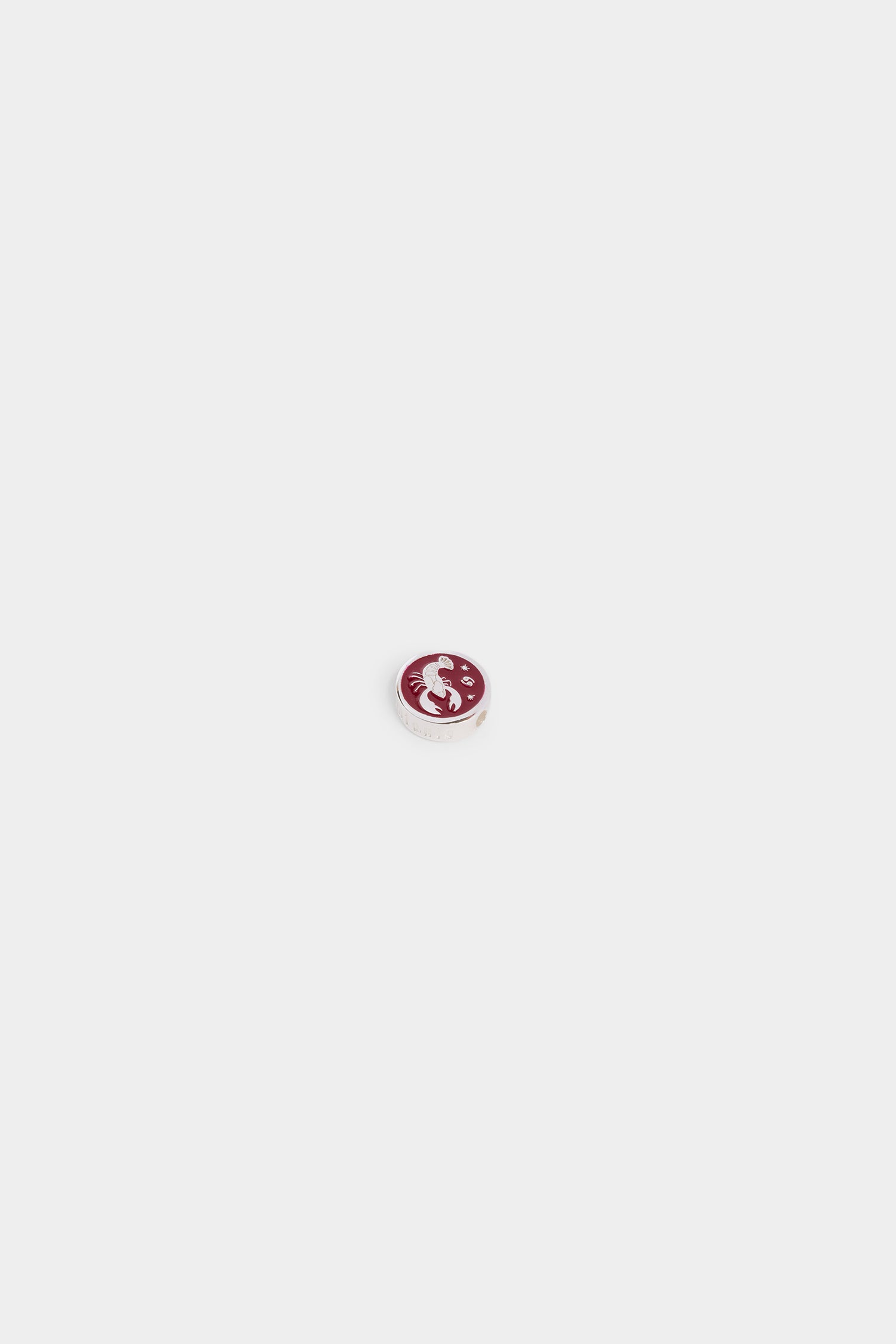 Zodiac Sign Charm