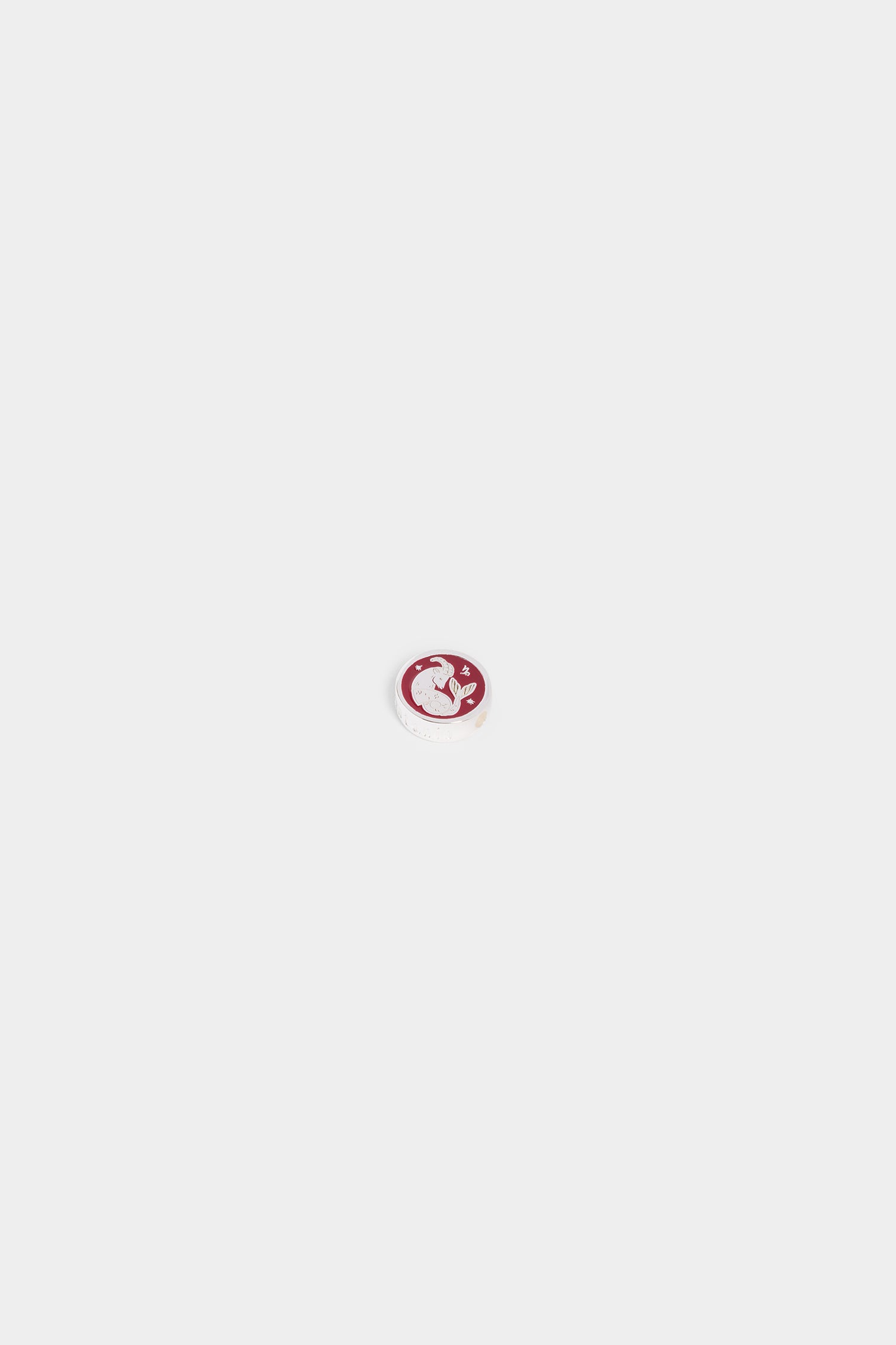 Zodiac Sign Charm