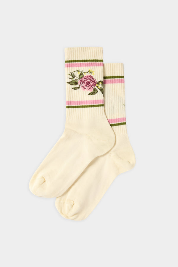 Ivory Rose Pink Band Socks