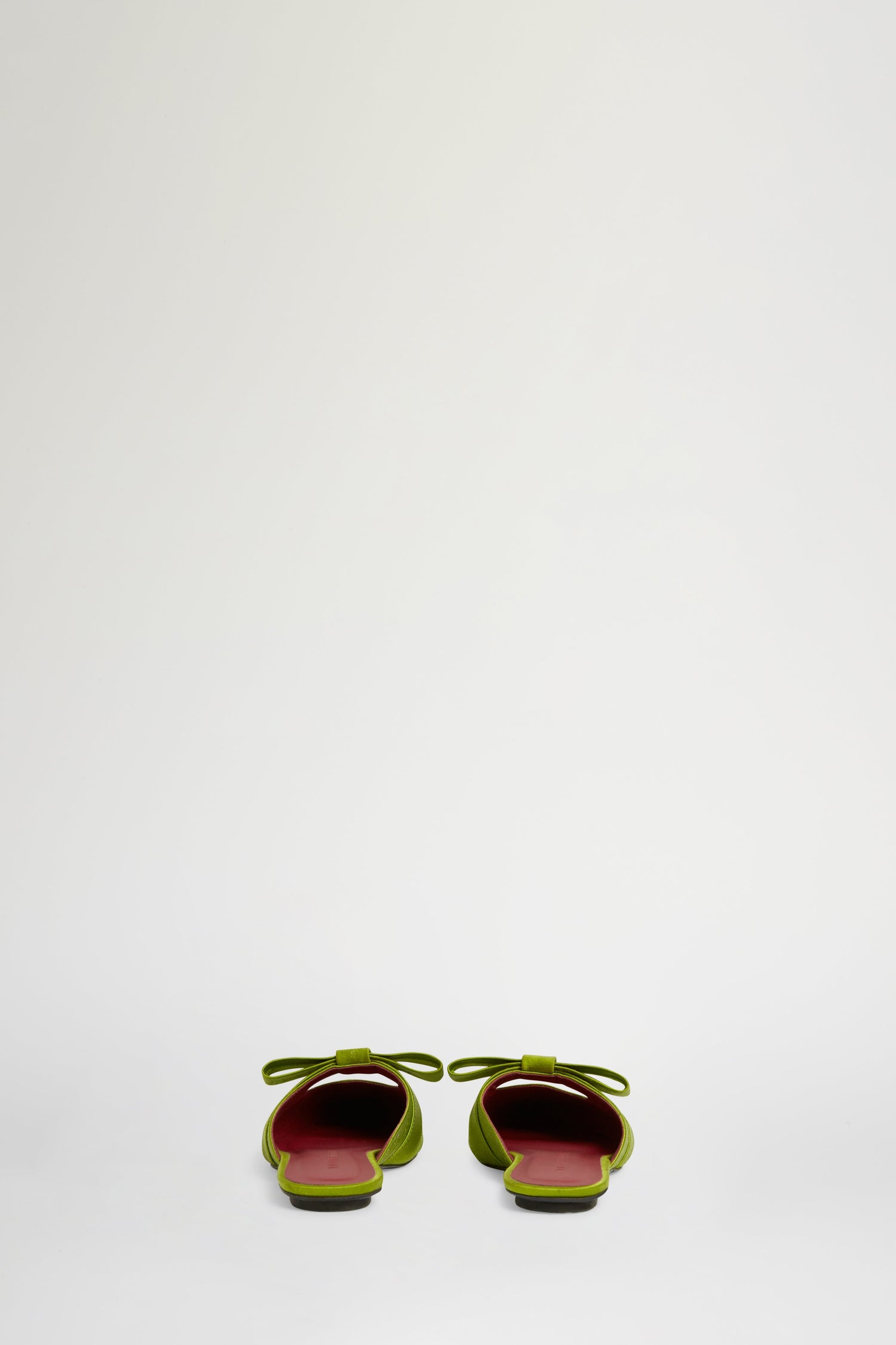 Zinnia Verdi
